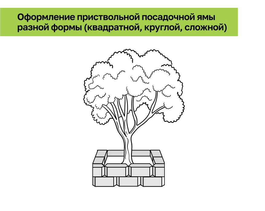 Посадочная яма.png