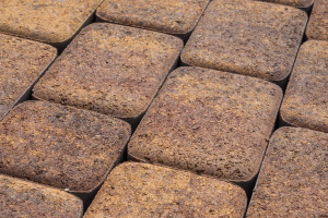 Тротуарная плитка Классико, цвет - гранит н/м листопад, осень Тротуарная плитка Классико, цвет - гранит н/м листопад, осень