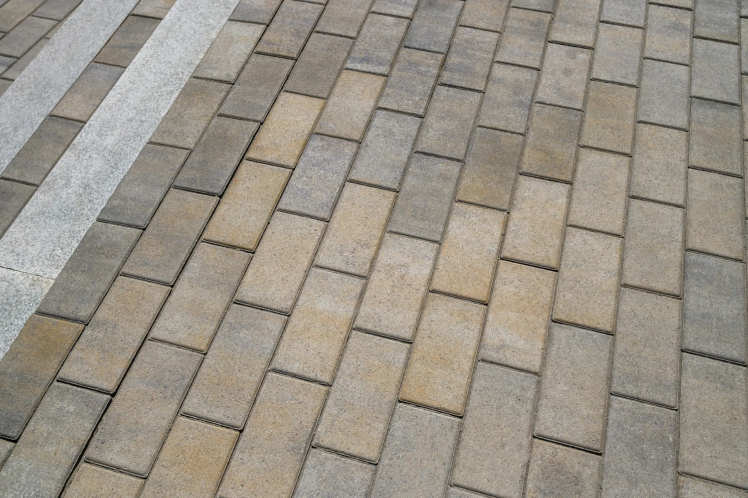 Тюменский Государственный Университет (ТюмГУ) новый корпус