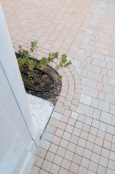 Купите квадратную тротуарную плитку от производителя компания «Выбор» Купите квадратную тротуарную плитку от производителя компания «Выбор»