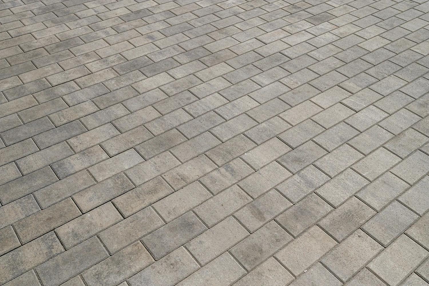 Тюменский Государственный Университет (ТюмГУ) новый корпус